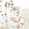 30 Pcs Flower Digital Bill Sticker Book